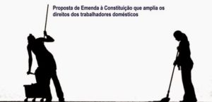 domestica.jpg