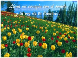 llena%2Bmi%2Bcoraz%25C3%25B3n.jpg