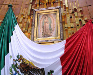 Guadalupe2.jpg